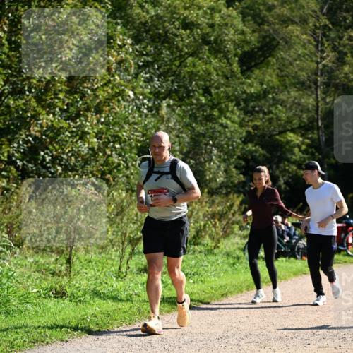 27.09.2026 - 35. Volkslauf durch das schöne Alstertal Dr. Thomas Lammeyer http://msf.ph/oto/10578286 27.09.2026 11:59:54 Laufen  meine-sportfotos.de