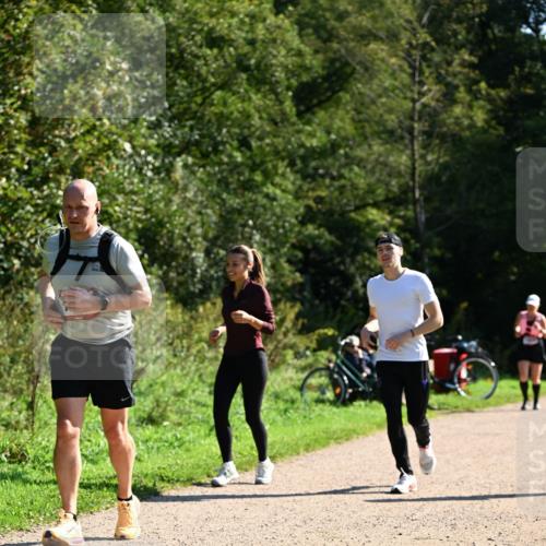27.09.2026 - 35. Volkslauf durch das schöne Alstertal Dr. Thomas Lammeyer http://msf.ph/oto/10578293 27.09.2026 11:59:55 Laufen  meine-sportfotos.de
