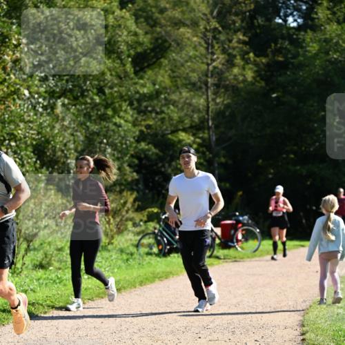 27.09.2026 - 35. Volkslauf durch das schöne Alstertal Dr. Thomas Lammeyer http://msf.ph/oto/10578295 27.09.2026 11:59:55 Laufen  meine-sportfotos.de