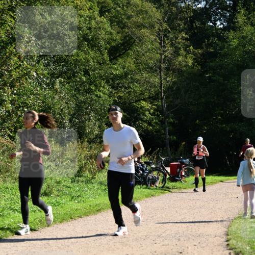 27.09.2026 - 35. Volkslauf durch das schöne Alstertal Dr. Thomas Lammeyer http://msf.ph/oto/10578298 27.09.2026 11:59:56 Laufen 1035 meine-sportfotos.de