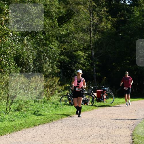 27.09.2026 - 35. Volkslauf durch das schöne Alstertal Dr. Thomas Lammeyer http://msf.ph/oto/10578308 27.09.2026 11:59:58 Laufen 1035, 1684 meine-sportfotos.de