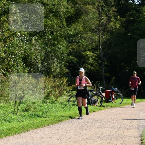 27.09.2026 - 35. Volkslauf durch das schöne Alstertal Dr. Thomas Lammeyer http://msf.ph/oto/10578311 27.09.2026 11:59:58 Laufen 1035, 1684 meine-sportfotos.de