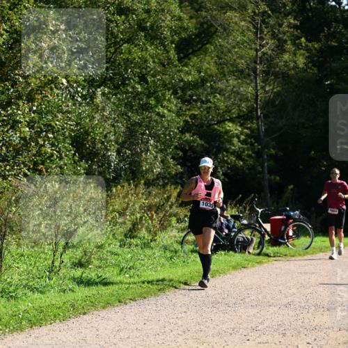 27.09.2026 - 35. Volkslauf durch das schöne Alstertal Dr. Thomas Lammeyer http://msf.ph/oto/10578314 27.09.2026 11:59:59 Laufen 1035, 1684 meine-sportfotos.de