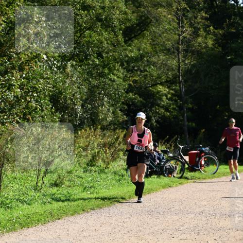 27.09.2026 - 35. Volkslauf durch das schöne Alstertal Dr. Thomas Lammeyer http://msf.ph/oto/10578315 27.09.2026 11:59:59 Laufen 1035, 1684 meine-sportfotos.de