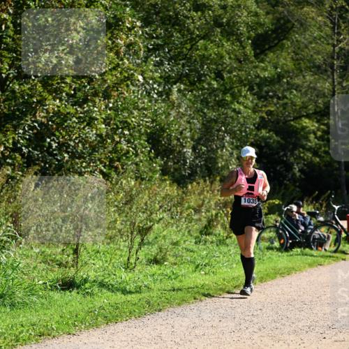 27.09.2026 - 35. Volkslauf durch das schöne Alstertal Dr. Thomas Lammeyer http://msf.ph/oto/10578321 27.09.2026 11:59:59 Laufen 1035 meine-sportfotos.de