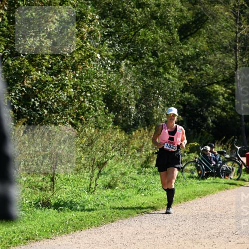 27.09.2026 - 35. Volkslauf durch das schöne Alstertal Dr. Thomas Lammeyer http://msf.ph/oto/10578322 27.09.2026 12:00:00 Laufen 1035 meine-sportfotos.de