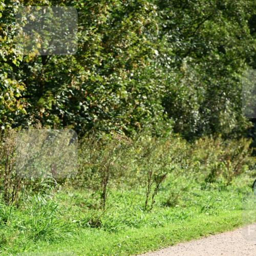 27.09.2026 - 35. Volkslauf durch das schöne Alstertal Dr. Thomas Lammeyer http://msf.ph/oto/10578349 27.09.2026 12:00:06 Laufen  meine-sportfotos.de