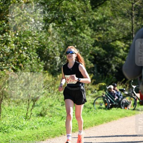 27.09.2026 - 35. Volkslauf durch das schöne Alstertal Dr. Thomas Lammeyer http://msf.ph/oto/10578350 27.09.2026 12:00:09 Laufen 239 meine-sportfotos.de
