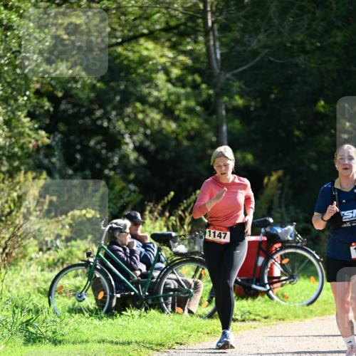 27.09.2026 - 35. Volkslauf durch das schöne Alstertal Dr. Thomas Lammeyer http://msf.ph/oto/10578378 27.09.2026 12:00:20 Laufen 1147 meine-sportfotos.de