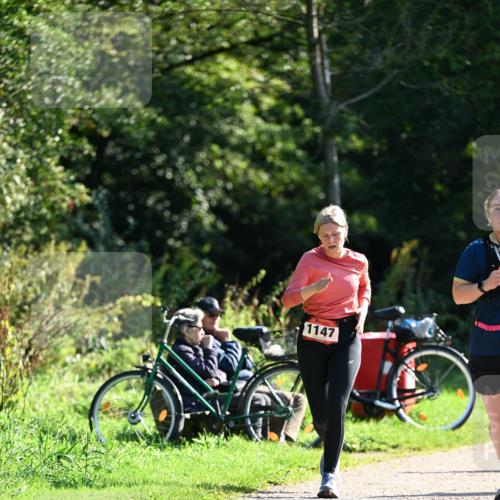 27.09.2026 - 35. Volkslauf durch das schöne Alstertal Dr. Thomas Lammeyer http://msf.ph/oto/10578381 27.09.2026 12:00:20 Laufen 1147 meine-sportfotos.de