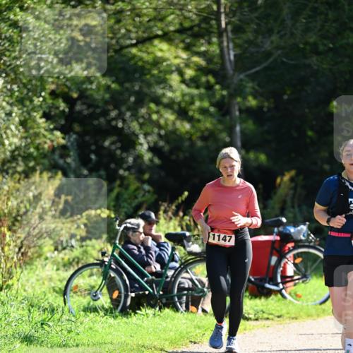 27.09.2026 - 35. Volkslauf durch das schöne Alstertal Dr. Thomas Lammeyer http://msf.ph/oto/10578382 27.09.2026 12:00:20 Laufen 1147 meine-sportfotos.de