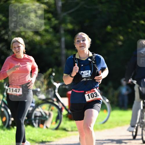 27.09.2026 - 35. Volkslauf durch das schöne Alstertal Dr. Thomas Lammeyer http://msf.ph/oto/10578384 27.09.2026 12:00:22 Laufen 1147, 103 meine-sportfotos.de