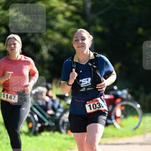 27.09.2026 - 35. Volkslauf durch das schöne Alstertal Dr. Thomas Lammeyer http://msf.ph/oto/10578391 27.09.2026 12:00:22 Laufen 1147, 103 meine-sportfotos.de