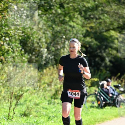 27.09.2026 - 35. Volkslauf durch das schöne Alstertal Dr. Thomas Lammeyer http://msf.ph/oto/10578450 27.09.2026 12:00:53 Laufen 1044 meine-sportfotos.de
