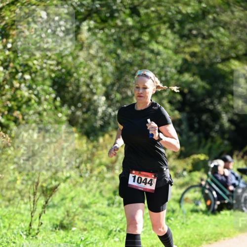 27.09.2026 - 35. Volkslauf durch das schöne Alstertal Dr. Thomas Lammeyer http://msf.ph/oto/10578451 27.09.2026 12:00:54 Laufen 1044 meine-sportfotos.de