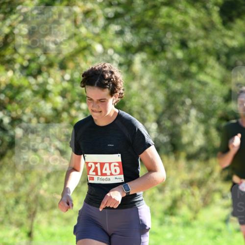 27.09.2026 - 35. Volkslauf durch das schöne Alstertal Dr. Thomas Lammeyer http://msf.ph/oto/10578481 27.09.2026 12:01:00 Laufen 2146 meine-sportfotos.de