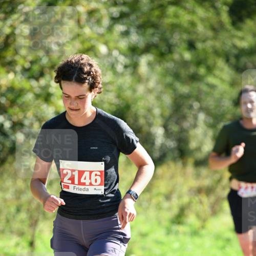 27.09.2026 - 35. Volkslauf durch das schöne Alstertal Dr. Thomas Lammeyer http://msf.ph/oto/10578482 27.09.2026 12:01:00 Laufen 2146 meine-sportfotos.de