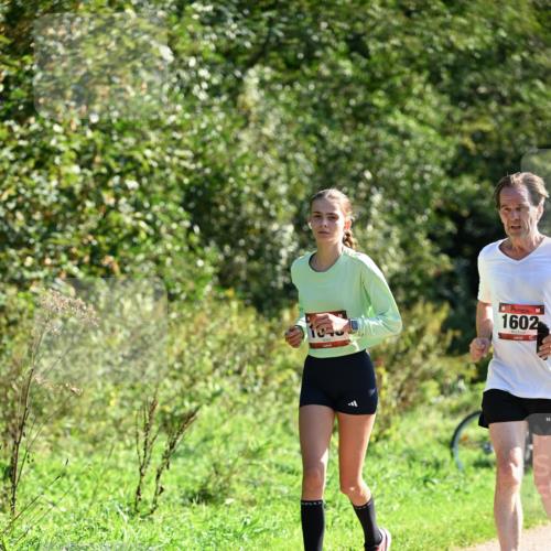 27.09.2026 - 35. Volkslauf durch das schöne Alstertal Dr. Thomas Lammeyer http://msf.ph/oto/10578499 27.09.2026 12:01:05 Laufen 1602 meine-sportfotos.de