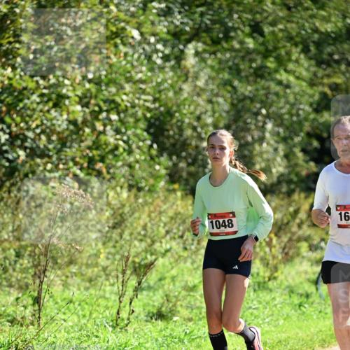 27.09.2026 - 35. Volkslauf durch das schöne Alstertal Dr. Thomas Lammeyer http://msf.ph/oto/10578501 27.09.2026 12:01:05 Laufen 1048, 16 meine-sportfotos.de