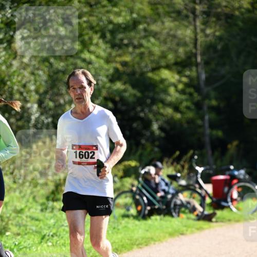 27.09.2026 - 35. Volkslauf durch das schöne Alstertal Dr. Thomas Lammeyer http://msf.ph/oto/10578502 27.09.2026 12:01:06 Laufen 1602 meine-sportfotos.de