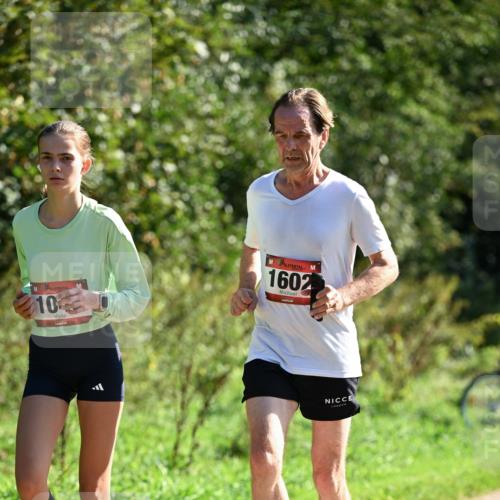 27.09.2026 - 35. Volkslauf durch das schöne Alstertal Dr. Thomas Lammeyer http://msf.ph/oto/10578508 27.09.2026 12:01:06 Laufen 10, 1602 meine-sportfotos.de