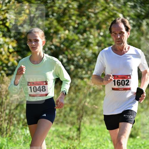 27.09.2026 - 35. Volkslauf durch das schöne Alstertal Dr. Thomas Lammeyer http://msf.ph/oto/10578513 27.09.2026 12:01:06 Laufen 1048, 1602 meine-sportfotos.de