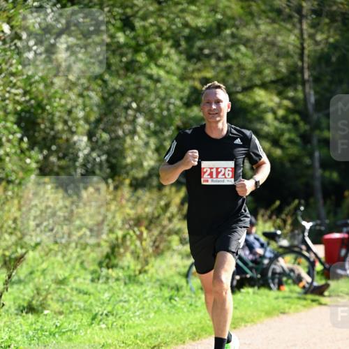 27.09.2026 - 35. Volkslauf durch das schöne Alstertal Dr. Thomas Lammeyer http://msf.ph/oto/10578554 27.09.2026 12:01:35 Laufen 2126 meine-sportfotos.de
