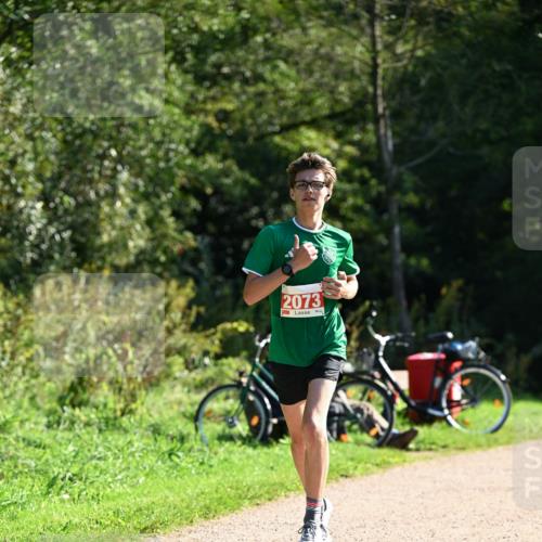 27.09.2026 - 35. Volkslauf durch das schöne Alstertal Dr. Thomas Lammeyer http://msf.ph/oto/10578579 27.09.2026 12:01:43 Laufen 2073 meine-sportfotos.de