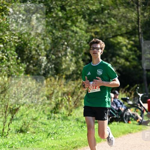 27.09.2026 - 35. Volkslauf durch das schöne Alstertal Dr. Thomas Lammeyer http://msf.ph/oto/10578584 27.09.2026 12:01:44 Laufen 2075 meine-sportfotos.de