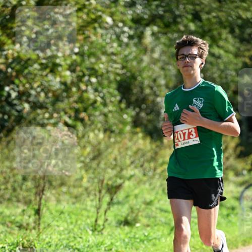 27.09.2026 - 35. Volkslauf durch das schöne Alstertal Dr. Thomas Lammeyer http://msf.ph/oto/10578591 27.09.2026 12:01:44 Laufen 1920, 2073 meine-sportfotos.de