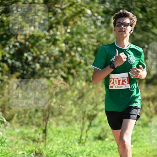27.09.2026 - 35. Volkslauf durch das schöne Alstertal Dr. Thomas Lammeyer http://msf.ph/oto/10578593 27.09.2026 12:01:44 Laufen 1920, 2073, 1 meine-sportfotos.de