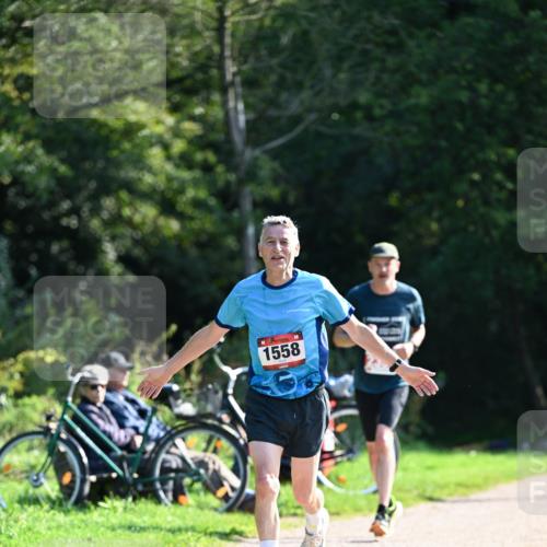 27.09.2026 - 35. Volkslauf durch das schöne Alstertal Dr. Thomas Lammeyer http://msf.ph/oto/10578636 27.09.2026 12:02:18 Laufen 1558 meine-sportfotos.de