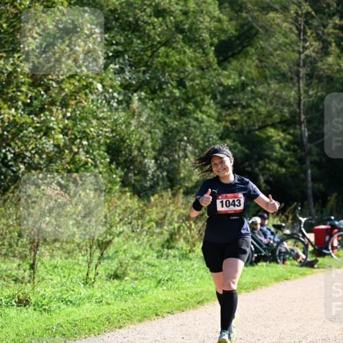 27.09.2026 - 35. Volkslauf durch das schöne Alstertal Dr. Thomas Lammeyer http://msf.ph/oto/10578657 27.09.2026 12:02:26 Laufen 1043 meine-sportfotos.de