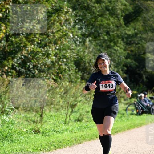 27.09.2026 - 35. Volkslauf durch das schöne Alstertal Dr. Thomas Lammeyer http://msf.ph/oto/10578664 27.09.2026 12:02:27 Laufen 1043 meine-sportfotos.de