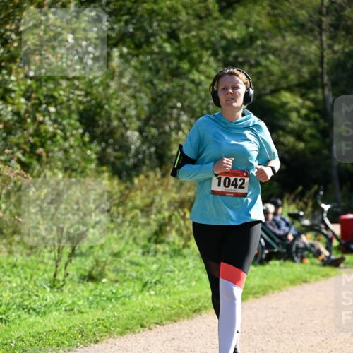 27.09.2026 - 35. Volkslauf durch das schöne Alstertal Dr. Thomas Lammeyer http://msf.ph/oto/10578696 27.09.2026 12:02:38 Laufen 1042 meine-sportfotos.de