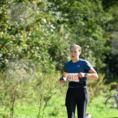27.09.2026 - 35. Volkslauf durch das schöne Alstertal Dr. Thomas Lammeyer http://msf.ph/oto/10578722 27.09.2026 12:03:15 Laufen 2260 meine-sportfotos.de