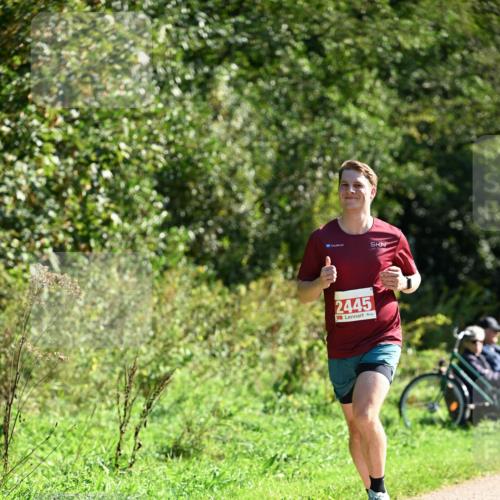 27.09.2026 - 35. Volkslauf durch das schöne Alstertal Dr. Thomas Lammeyer http://msf.ph/oto/10578741 27.09.2026 12:03:23 Laufen 2445 meine-sportfotos.de