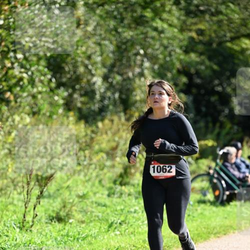 27.09.2026 - 35. Volkslauf durch das schöne Alstertal Dr. Thomas Lammeyer http://msf.ph/oto/10578804 27.09.2026 12:03:44 Laufen 1062 meine-sportfotos.de