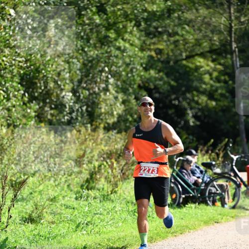 27.09.2026 - 35. Volkslauf durch das schöne Alstertal Dr. Thomas Lammeyer http://msf.ph/oto/10578883 27.09.2026 12:04:38 Laufen 2273 meine-sportfotos.de