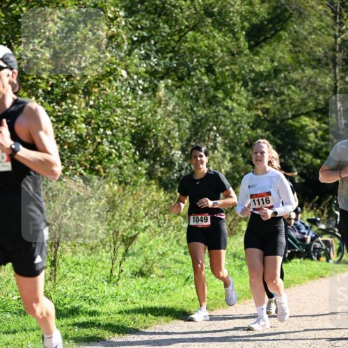 27.09.2026 - 35. Volkslauf durch das schöne Alstertal Dr. Thomas Lammeyer http://msf.ph/oto/10578901 27.09.2026 12:04:44 Laufen 1049, 1116 meine-sportfotos.de