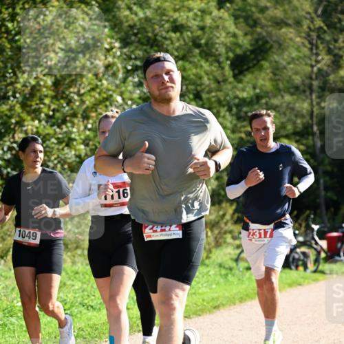 27.09.2026 - 35. Volkslauf durch das schöne Alstertal Dr. Thomas Lammeyer http://msf.ph/oto/10578910 27.09.2026 12:04:46 Laufen 1049, 16, 2442, 2317 meine-sportfotos.de