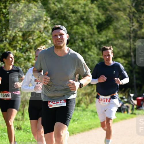 27.09.2026 - 35. Volkslauf durch das schöne Alstertal Dr. Thomas Lammeyer http://msf.ph/oto/10578912 27.09.2026 12:04:46 Laufen 1049, 4444, 2317 meine-sportfotos.de