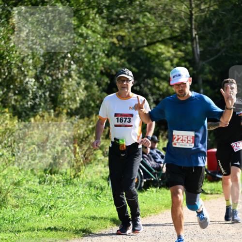 27.09.2026 - 35. Volkslauf durch das schöne Alstertal Dr. Thomas Lammeyer http://msf.ph/oto/10578919 27.09.2026 12:04:52 Laufen 1673, 2255, 240 meine-sportfotos.de