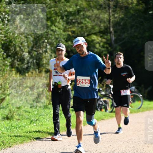 27.09.2026 - 35. Volkslauf durch das schöne Alstertal Dr. Thomas Lammeyer http://msf.ph/oto/10578920 27.09.2026 12:04:52 Laufen 16, 2255, 240 meine-sportfotos.de