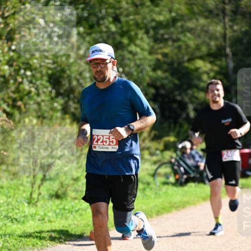 27.09.2026 - 35. Volkslauf durch das schöne Alstertal Dr. Thomas Lammeyer http://msf.ph/oto/10578928 27.09.2026 12:04:53 Laufen 2255, 240 meine-sportfotos.de