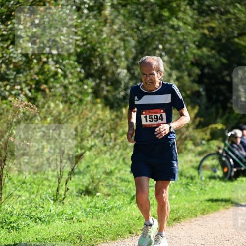 27.09.2026 - 35. Volkslauf durch das schöne Alstertal Dr. Thomas Lammeyer http://msf.ph/oto/10578997 27.09.2026 12:05:29 Laufen 1594 meine-sportfotos.de