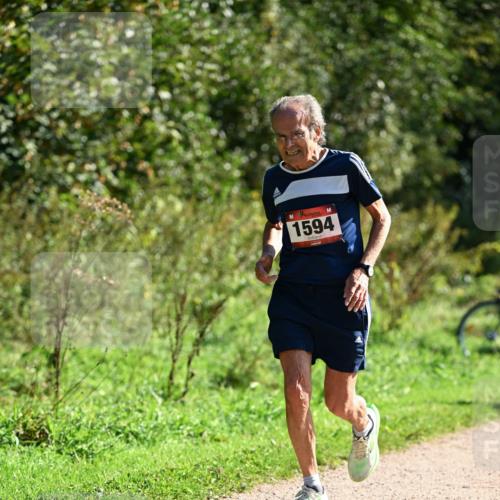 27.09.2026 - 35. Volkslauf durch das schöne Alstertal Dr. Thomas Lammeyer http://msf.ph/oto/10579000 27.09.2026 12:05:29 Laufen 1594 meine-sportfotos.de
