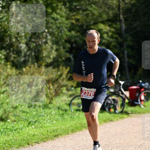 27.09.2026 - 35. Volkslauf durch das schöne Alstertal Dr. Thomas Lammeyer http://msf.ph/oto/10579005 27.09.2026 12:05:31 Laufen 2376 meine-sportfotos.de