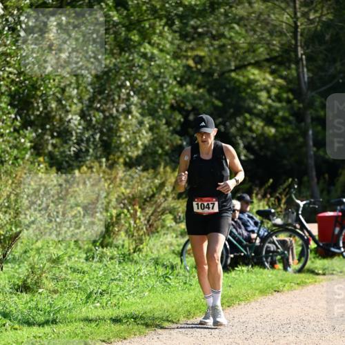 27.09.2026 - 35. Volkslauf durch das schöne Alstertal Dr. Thomas Lammeyer http://msf.ph/oto/10579016 27.09.2026 12:05:35 Laufen 1047 meine-sportfotos.de