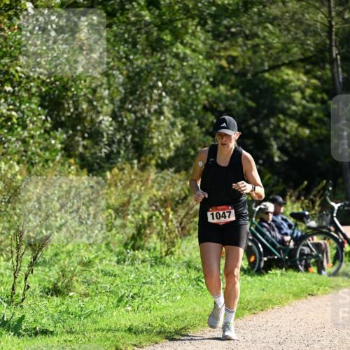 27.09.2026 - 35. Volkslauf durch das schöne Alstertal Dr. Thomas Lammeyer http://msf.ph/oto/10579019 27.09.2026 12:05:35 Laufen 1047 meine-sportfotos.de